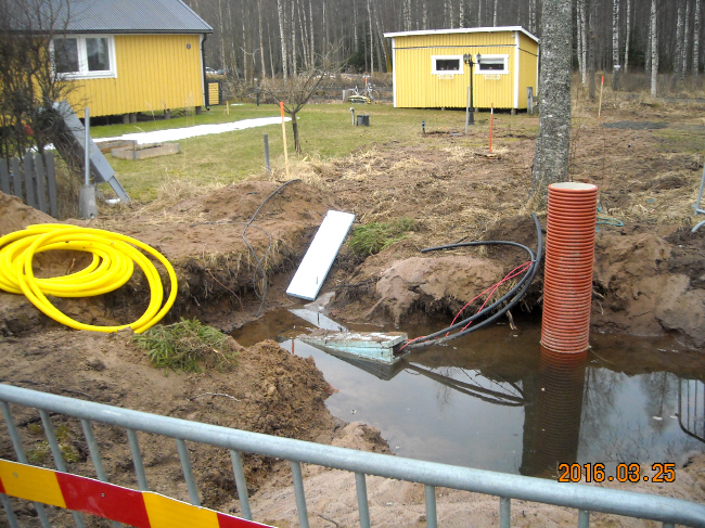 Kaprifolvgen 2016-03-25